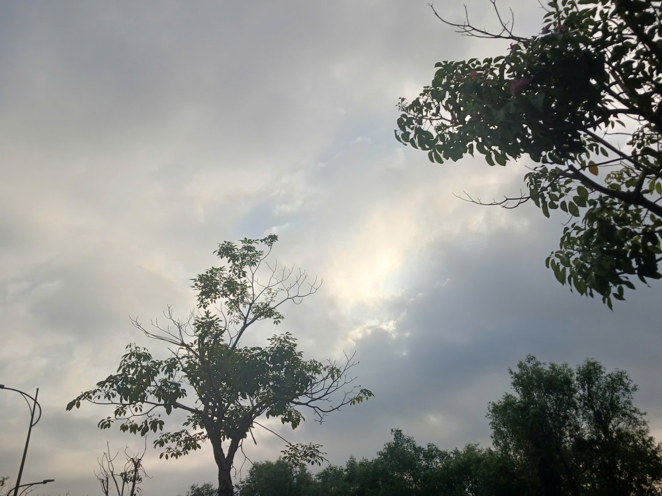 [IMAGE: CONTEXT UNKNOWN]