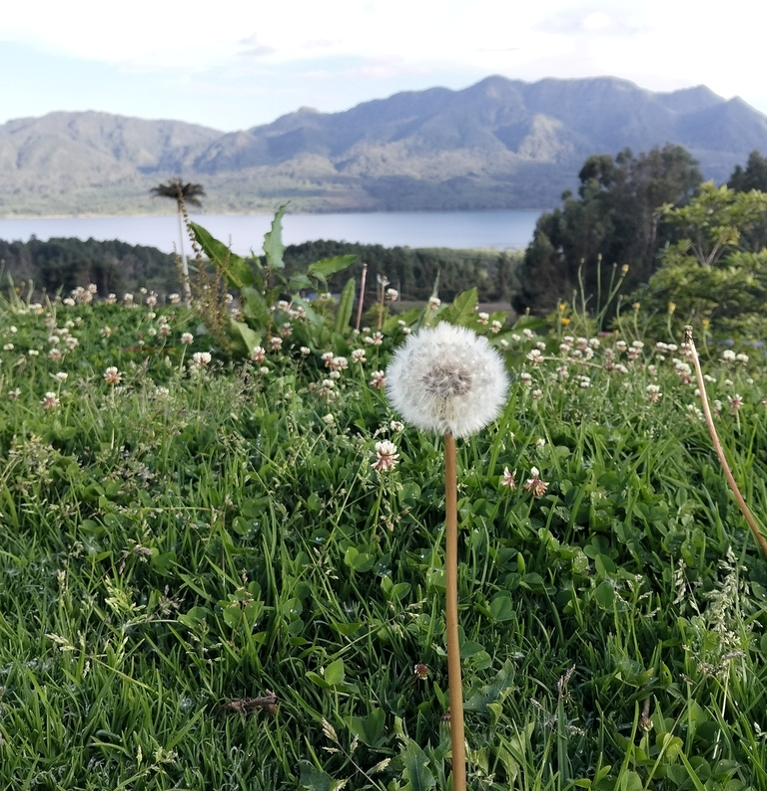 [IMAGE: CONTEXT UNKNOWN]