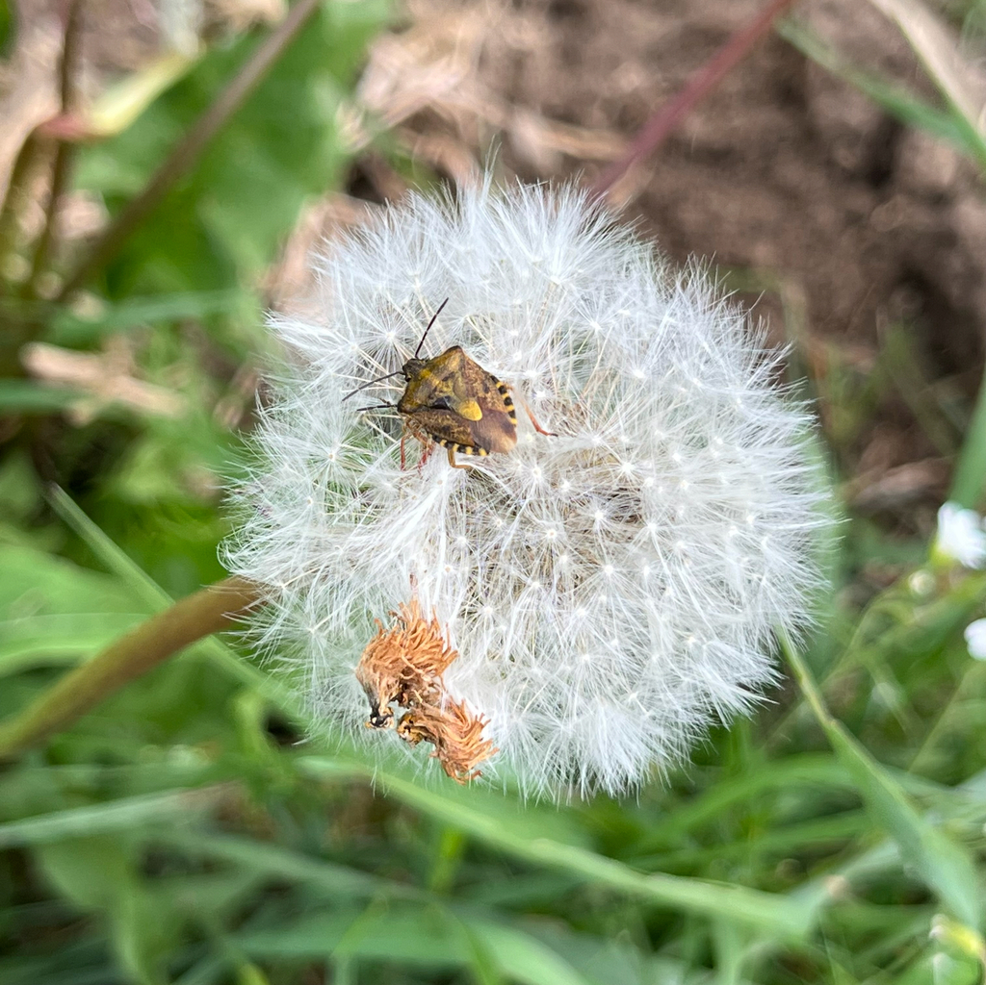 [IMAGE: CONTEXT UNKNOWN]