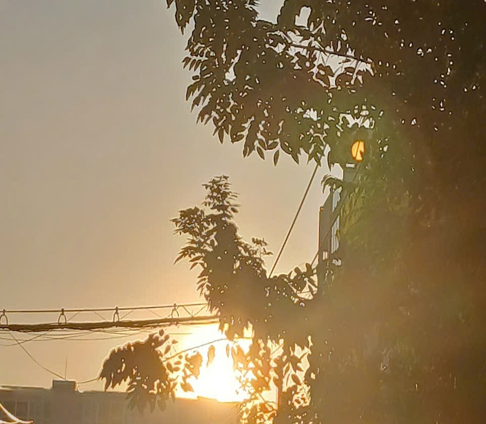 [IMAGE: CONTEXT UNKNOWN]