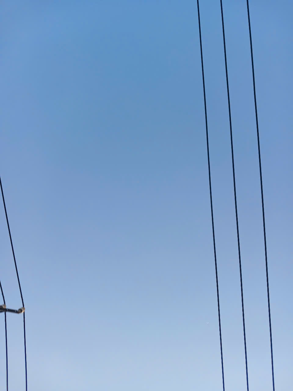 A still frame from the recording.